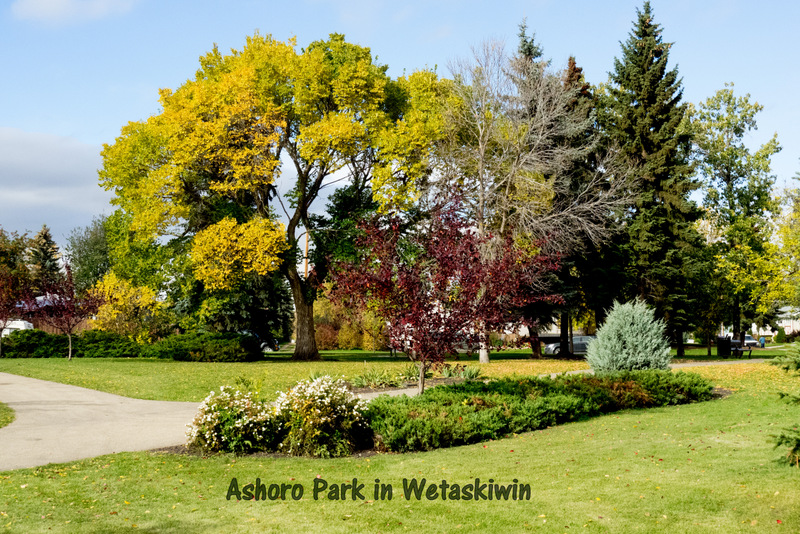 Ashoro Park